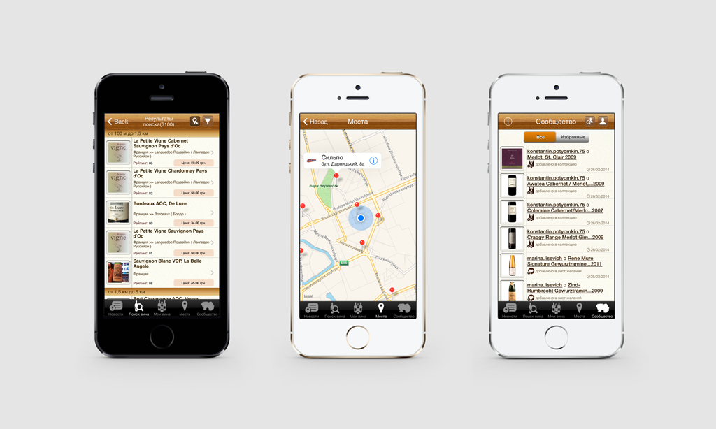 Wine recommendation and assistant application interface