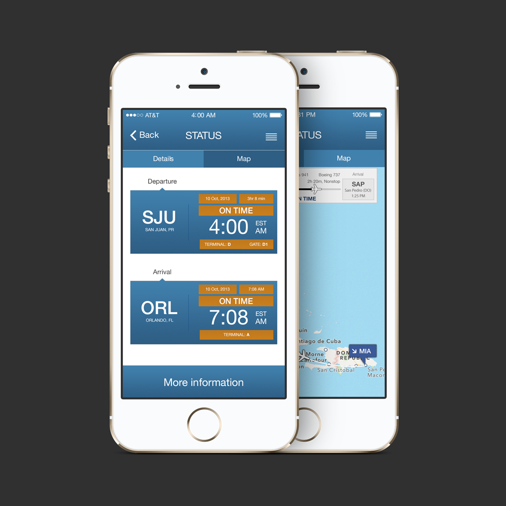 Flight tracking application interface