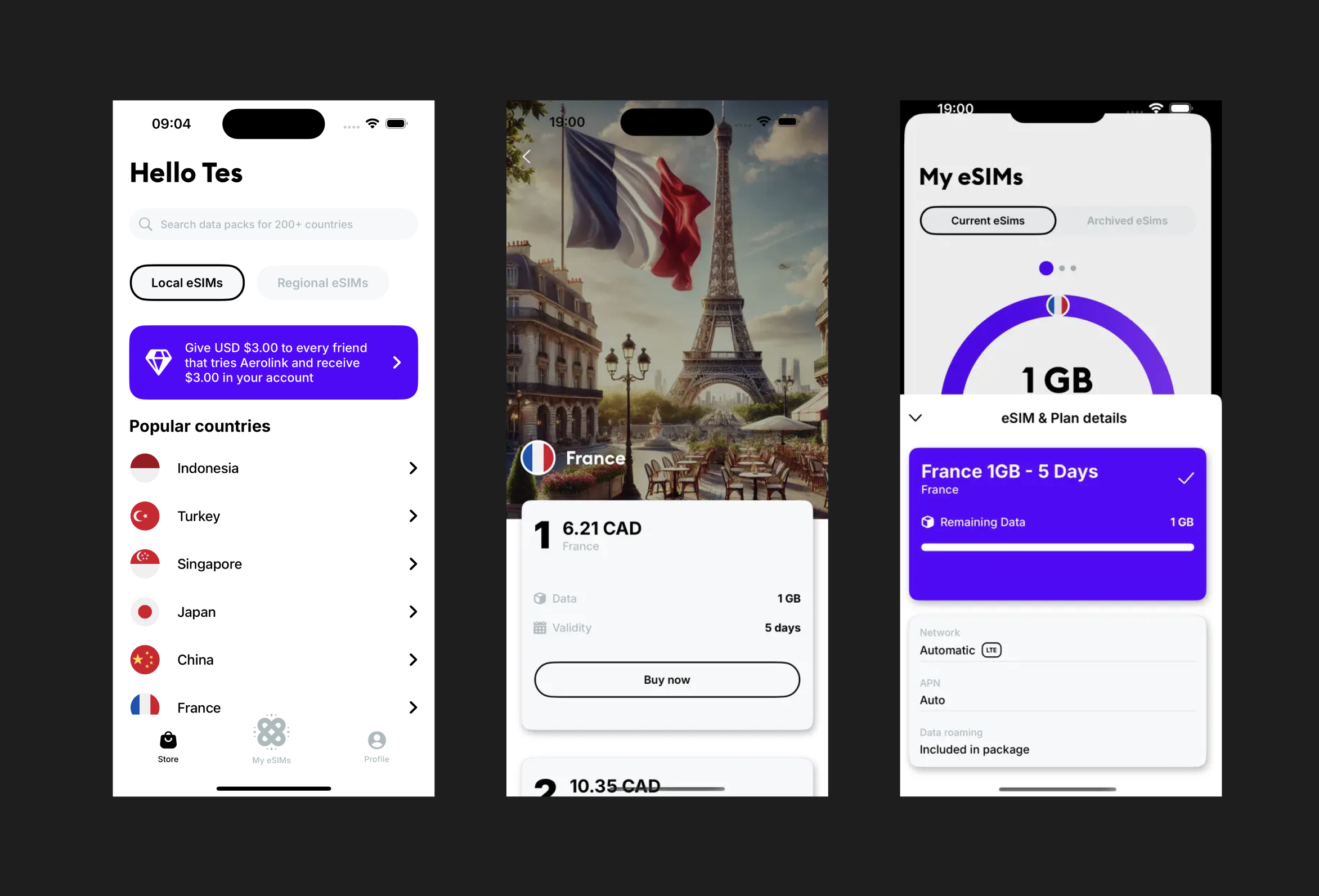 eSIM application interface