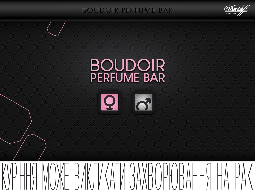 iPad promo application interface